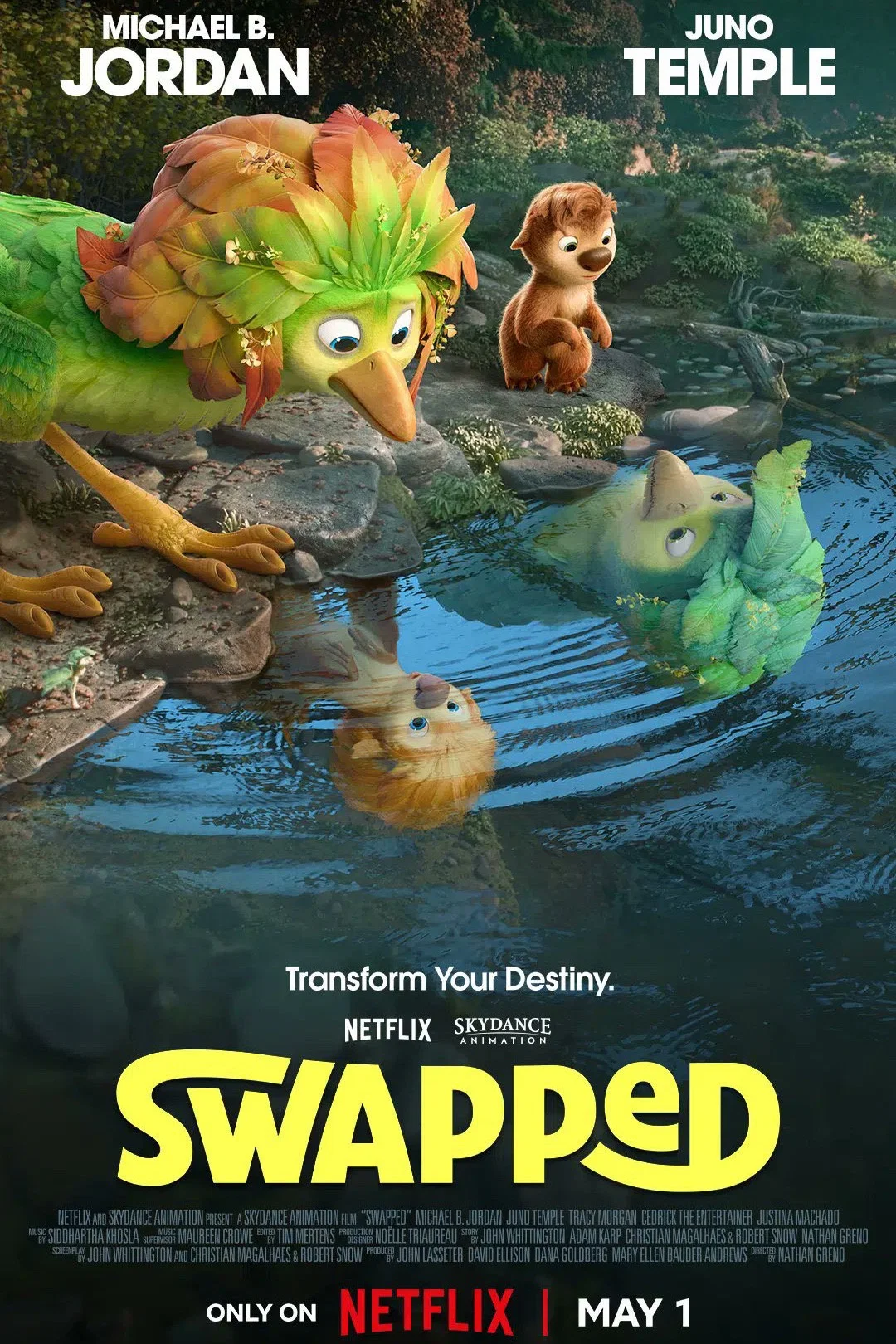 Poster of Swapped